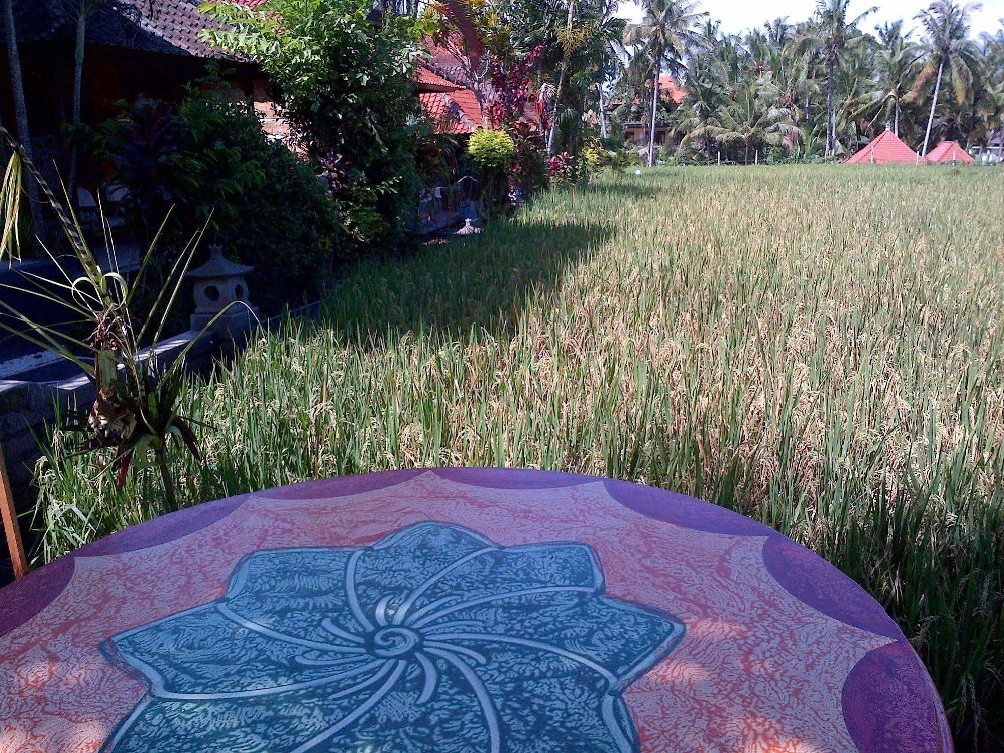 Puji Hostel And Bungalow Ubud 外观 照片