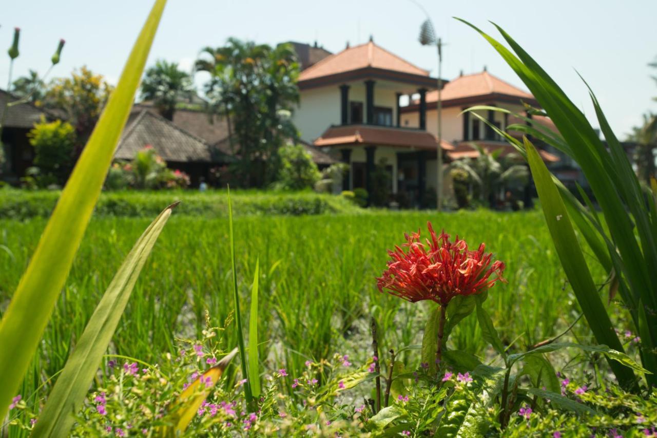 Puji Hostel And Bungalow Ubud 外观 照片
